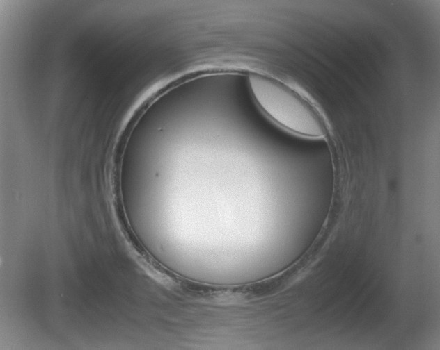 X0000080661085200612150729