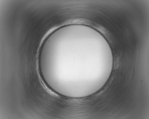 X0000080661086200612150729