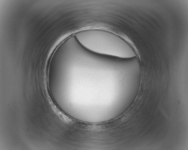 X0000080661088200612150729