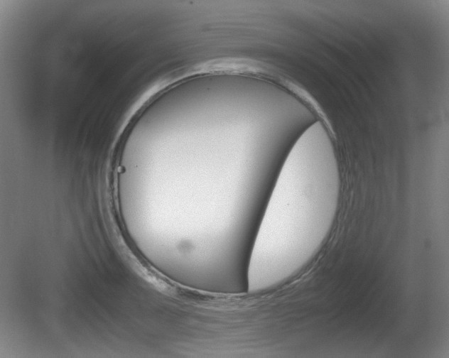 X0000080661091200612150729