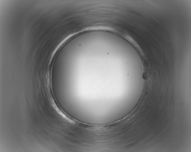 X0000080661092200612150729