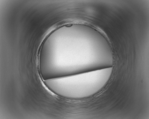 X0000080661095200612150729