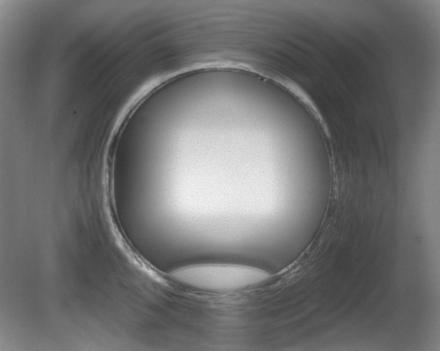 X0000080661096200612150729