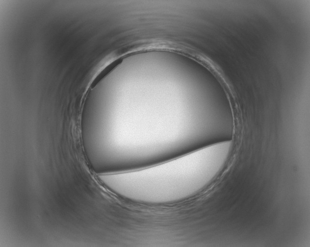 X0000080661097200612150729