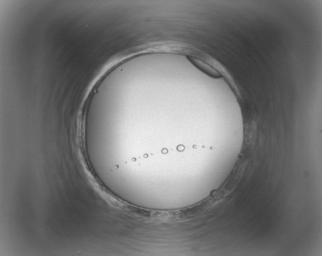 X0000080661099200612150729