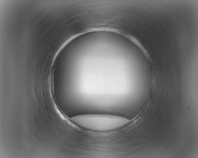 X0000080661100200612150729