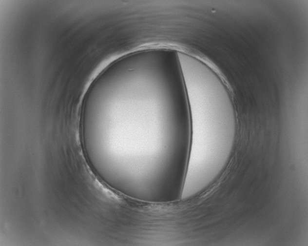 X0000080661102200612150729