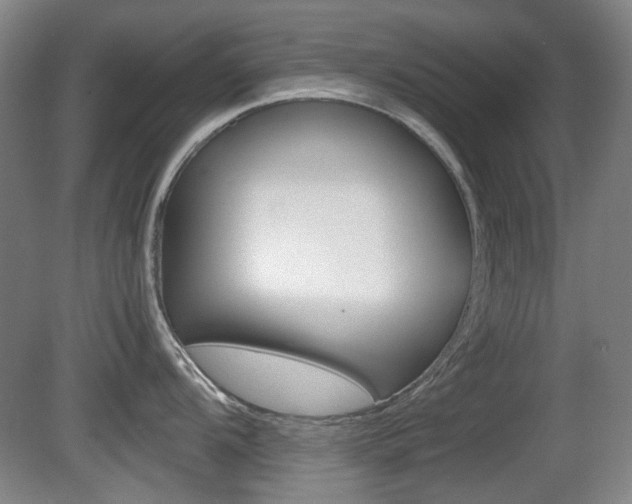 X0000080661104200612150729