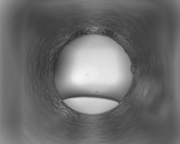 X0000080661105200612150728