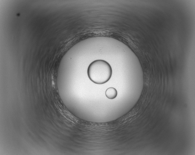 X0000080661106200612150728