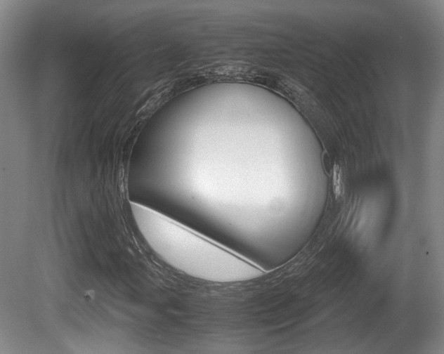 X0000080661107200612150728