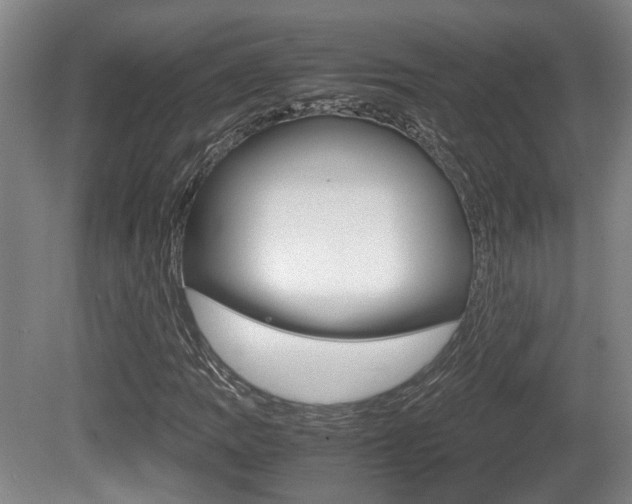 X0000080661109200612150728