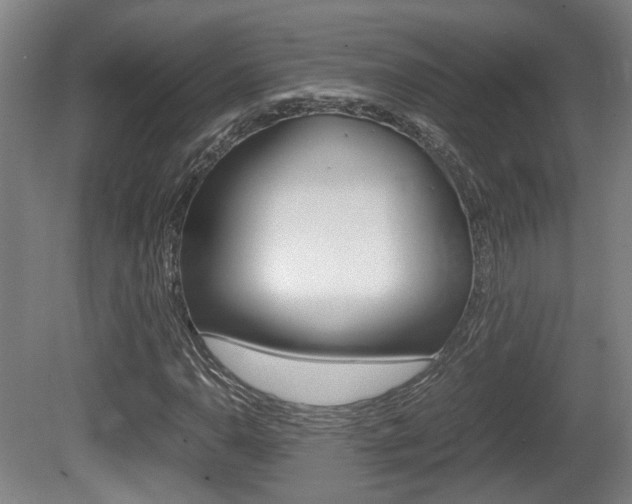 X0000080661110200612150728
