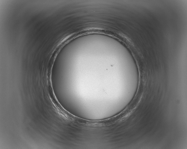X0000080661113200612150728