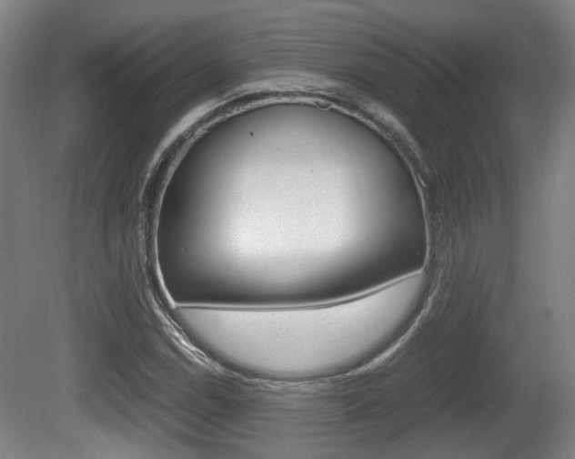 X0000080661114200612150728