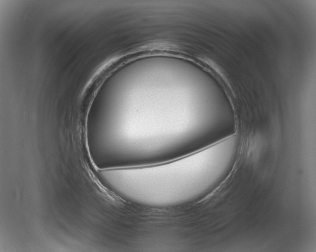 X0000080661115200612150728