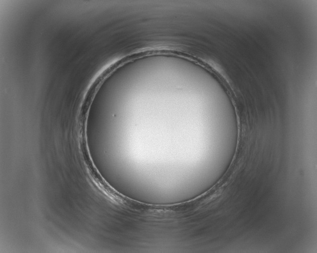 X0000080661119200612150728