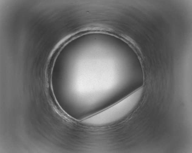 X0000080661120200612150728