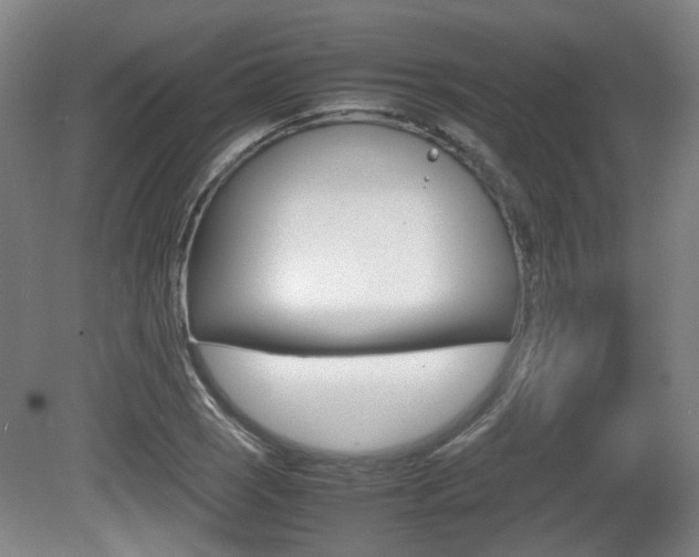 X0000080661121200612150728
