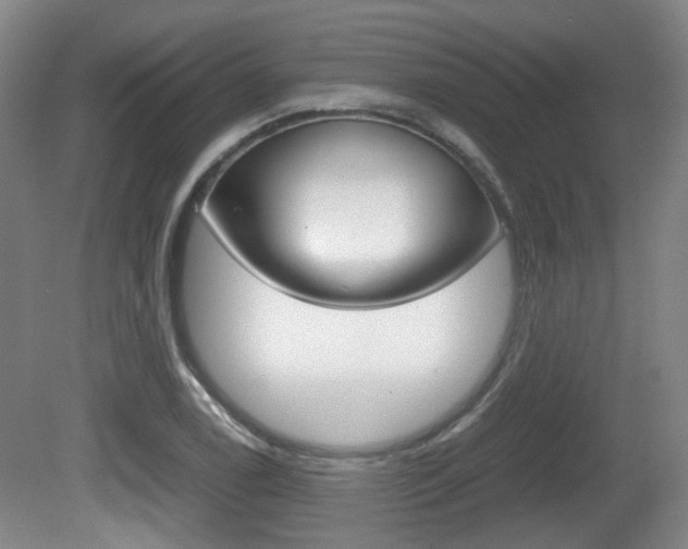X0000080661122200612150728