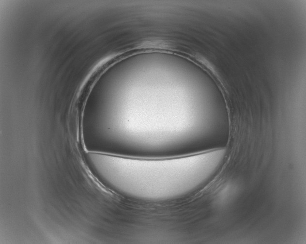 X0000080661123200612150728