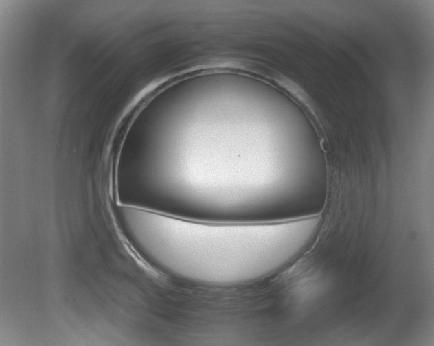 X0000080661127200612150728