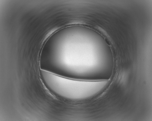 X0000080661129200612150728