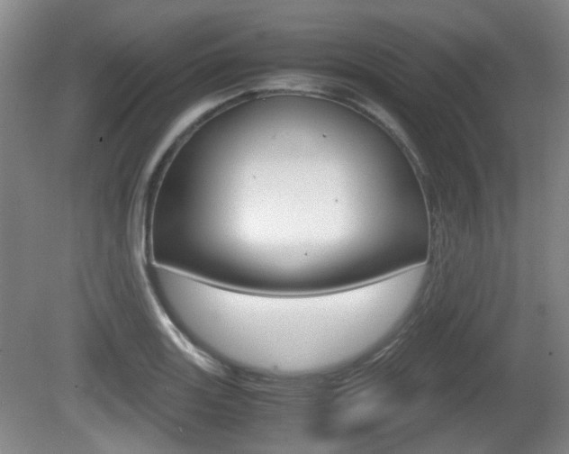 X0000080661131200612150728