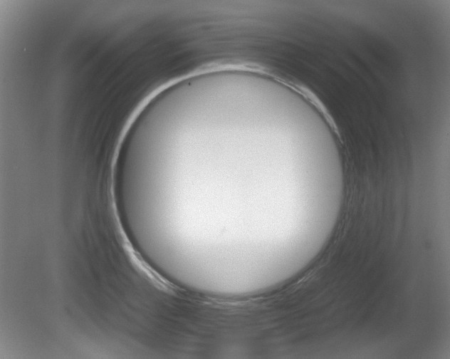 X0000080661132200612150728
