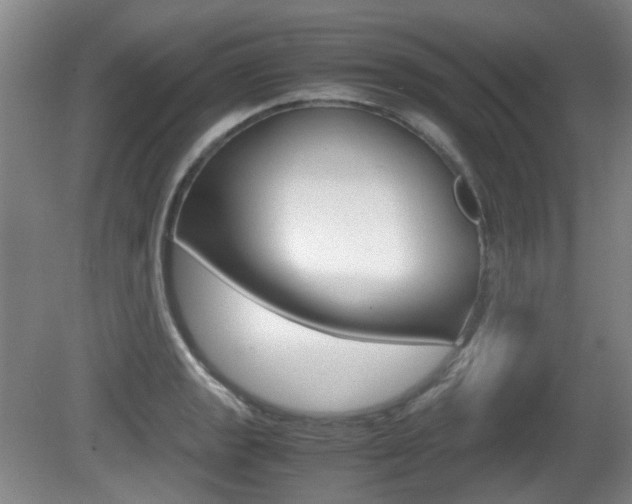 X0000080661133200612150728