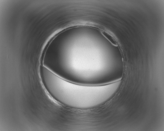 X0000080661136200612150728