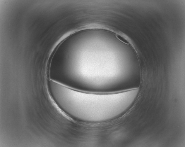 X0000080661142200612150728