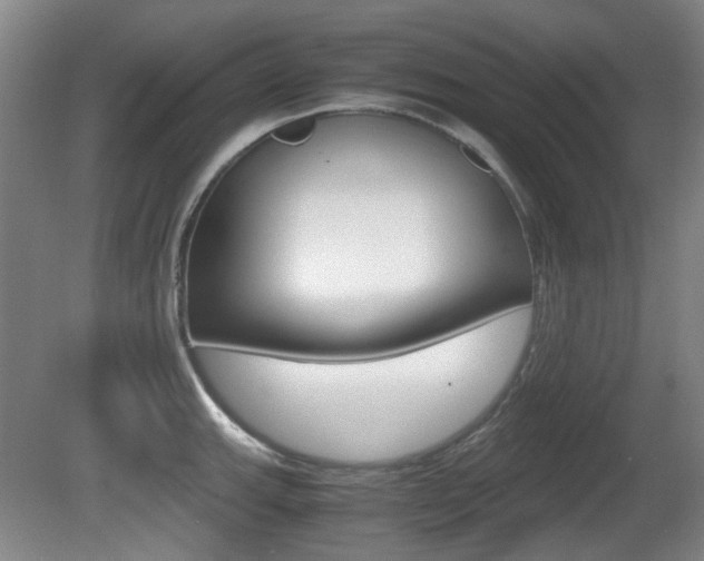 X0000080661143200612150728