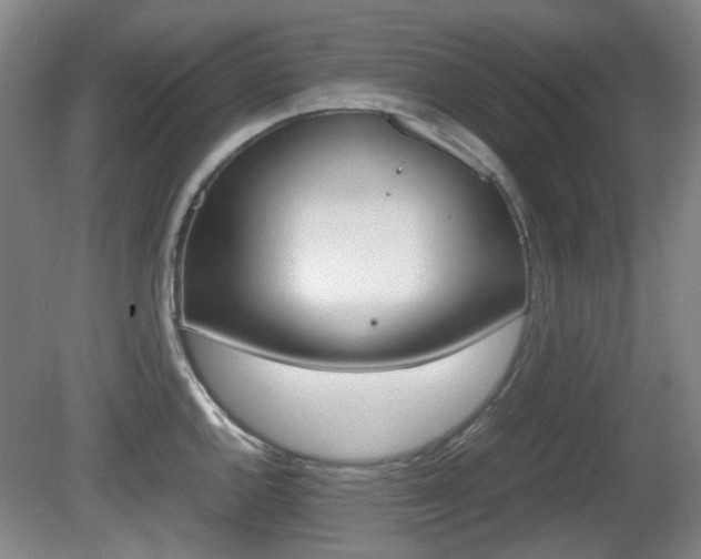 X0000080661144200612150728
