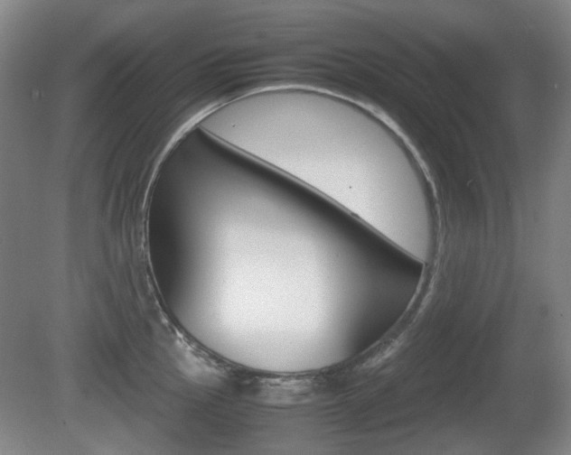 X0000080661145200612150728