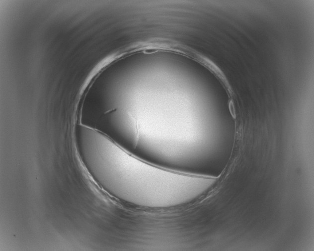 X0000080661146200612150728