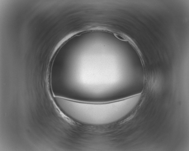 X0000080661149200612150728