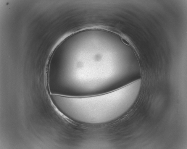 X0000080661151200612150729