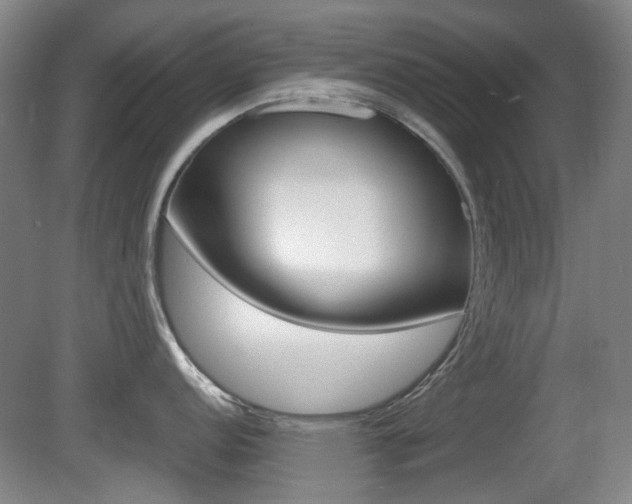X0000080661152200612150729
