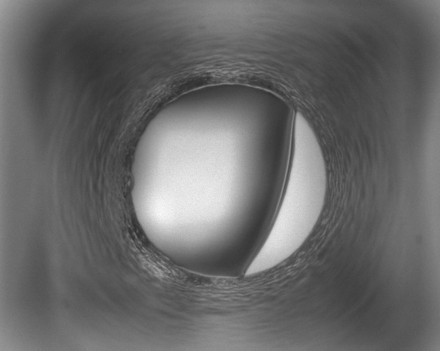 X0000080661153200612150728