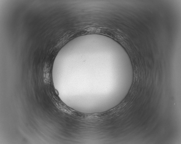 X0000080661154200612150728