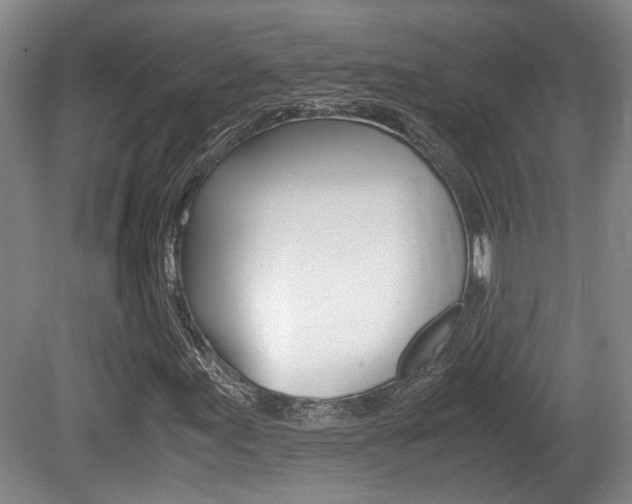 X0000080661155200612150728