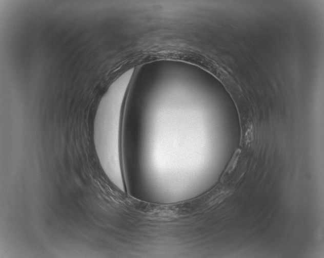 X0000080661156200612150728