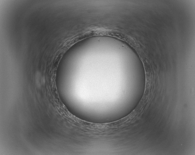 X0000080661157200612150728