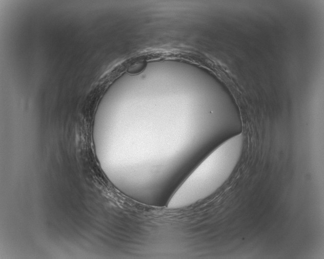 X0000080661158200612150728