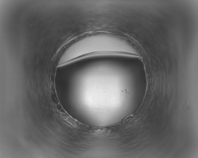 X0000080661160200612150728