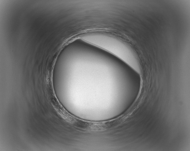 X0000080661161200612150728