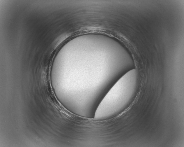 X0000080661162200612150728