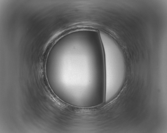 X0000080661164200612150728