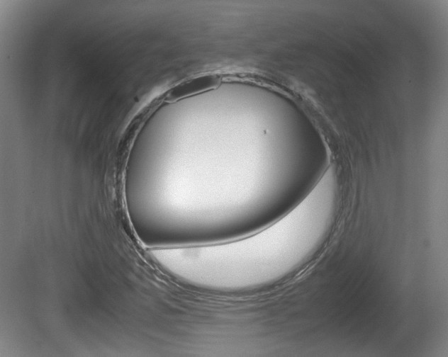 X0000080661165200612150728